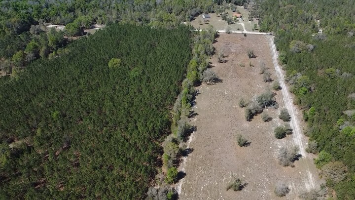 🌿✨ 17 ACRES OF PURE OPPORTUNITY IN FT. WHITE, FL! ✨🌿

Ready to build, invest, or create your dream l…