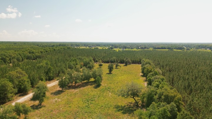 17 Acres of Opportunity in Fort White, Florida

Tucked away near North Florida’s beautiful rivers an…
